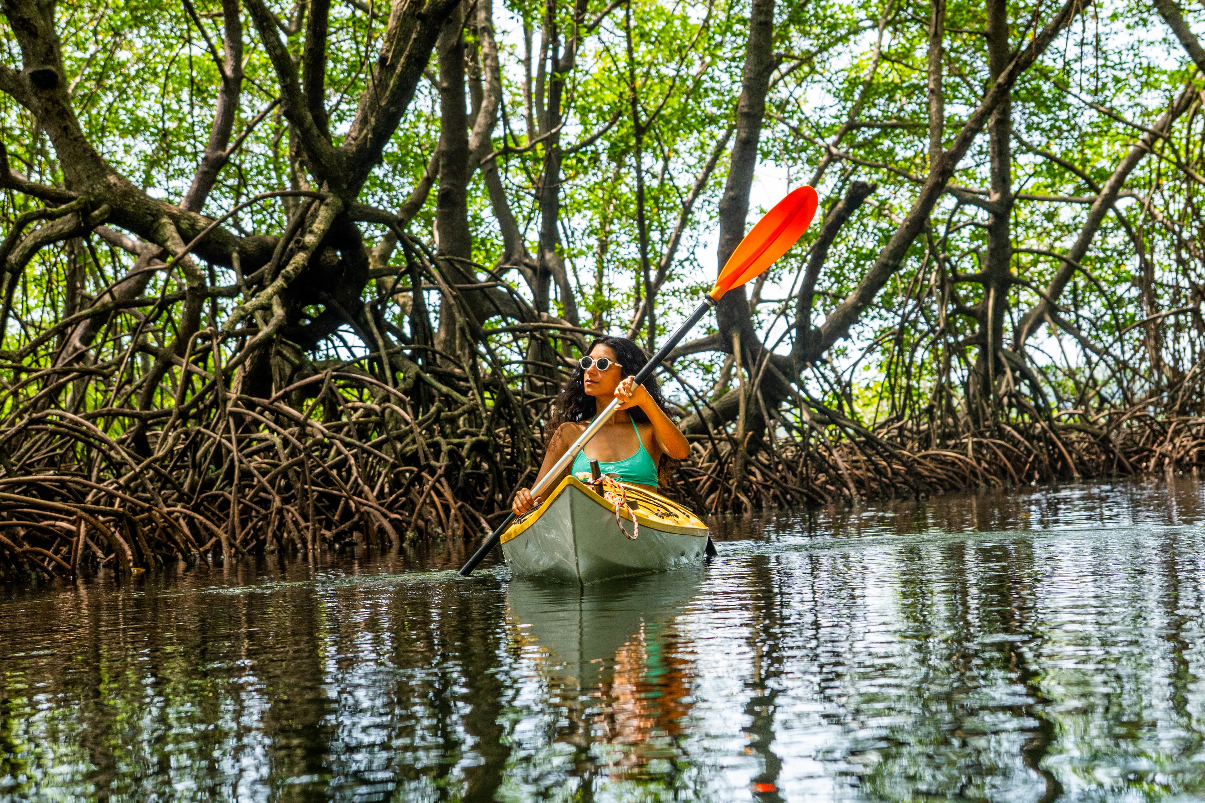 Through the mangrove channels
