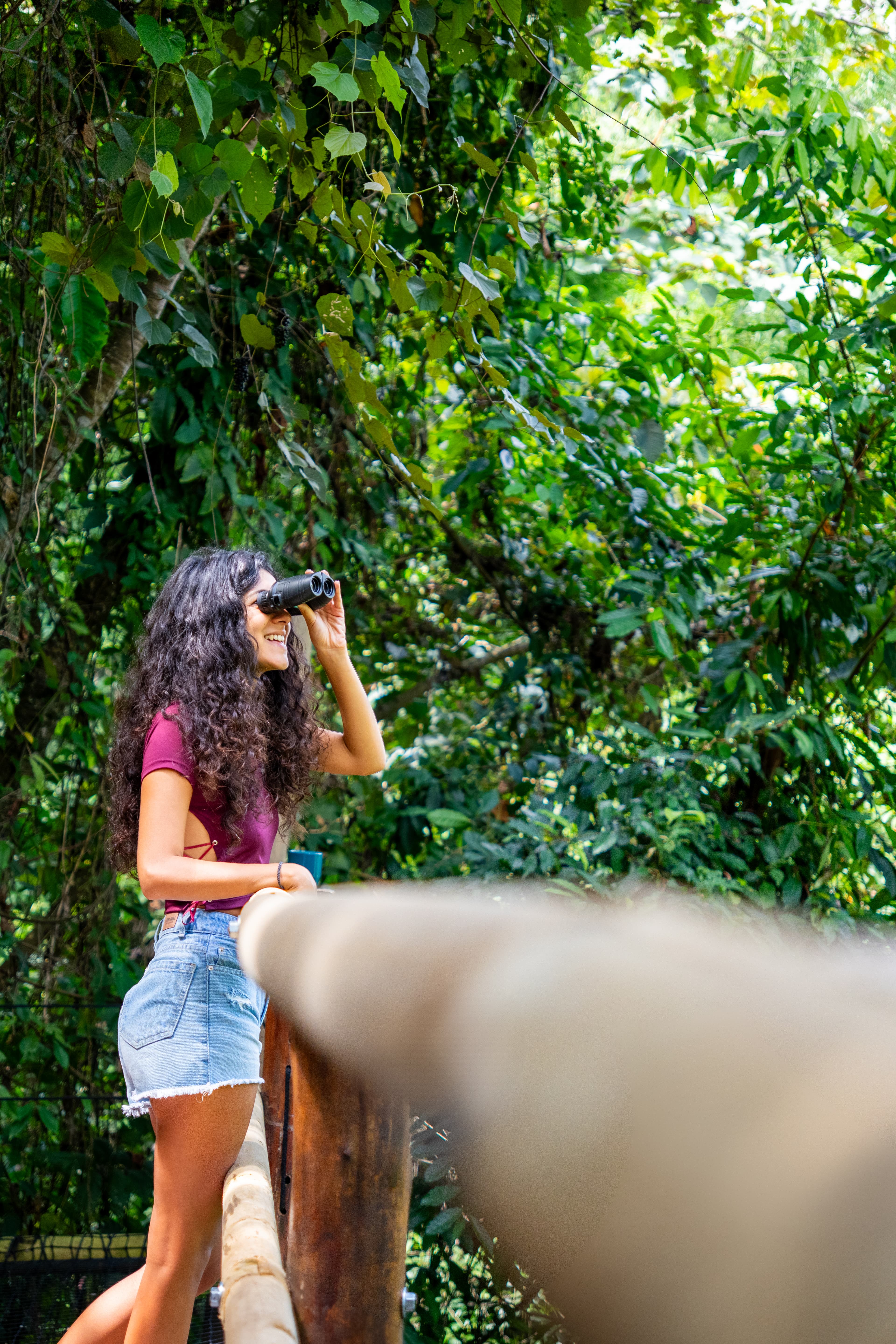 Birdwatching