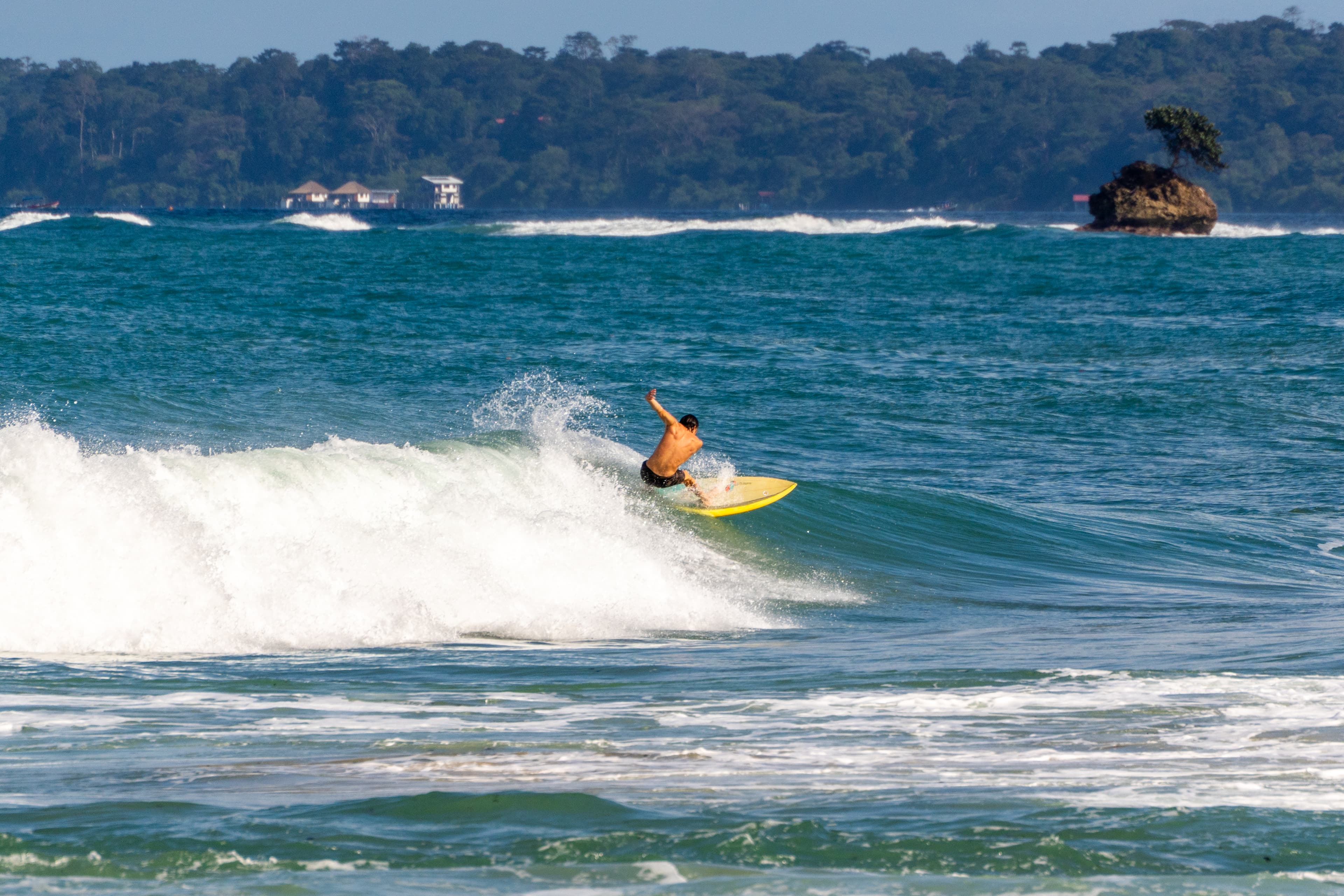 Surf & coast